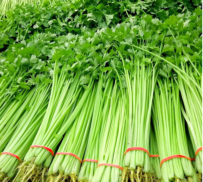 山东小香芹